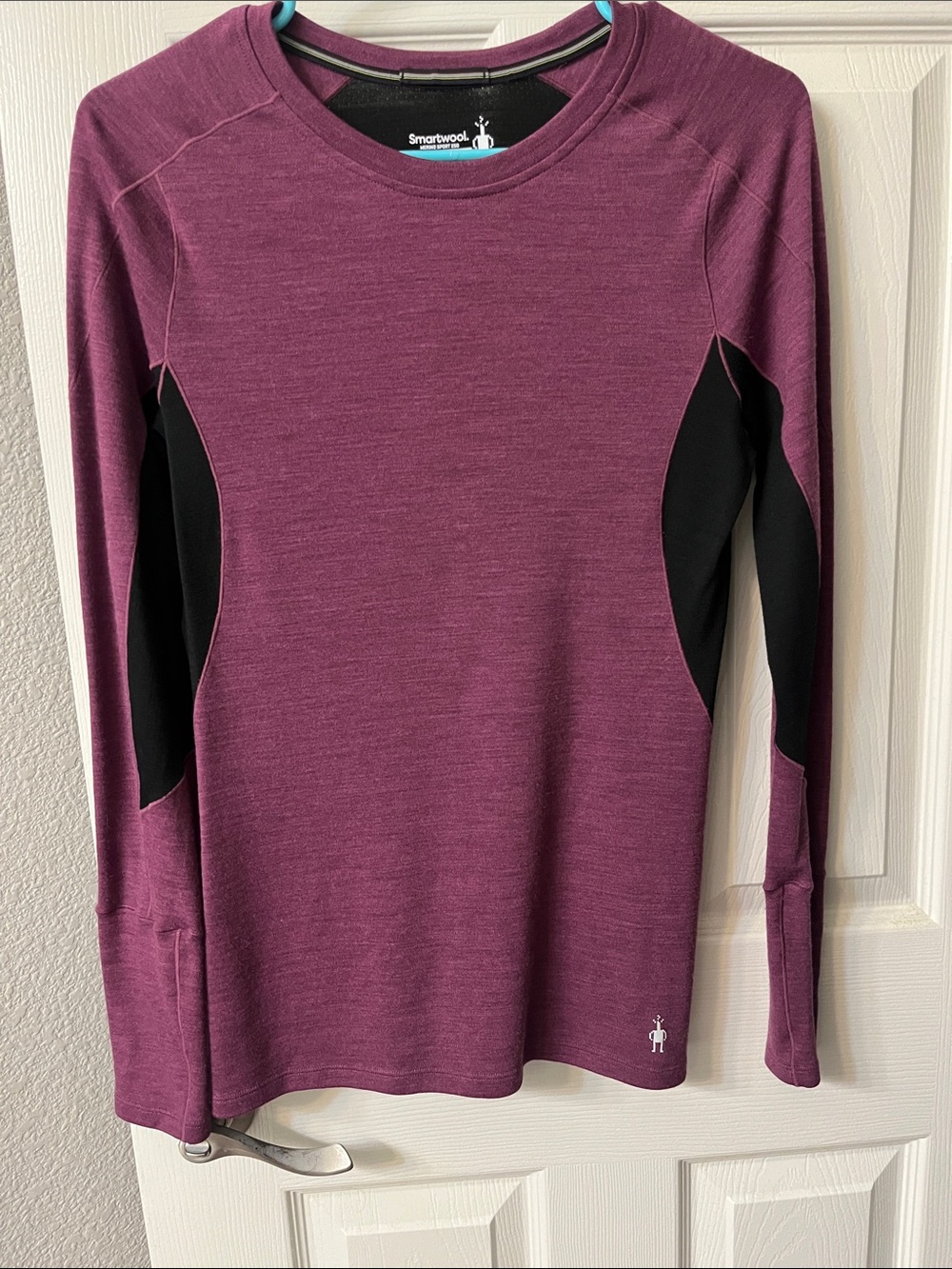 Smartwool Women's Purple Baselayer 250 Long-Sleeve Performance Top